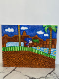 Sonic the Hedgehog in Green Hill Zone